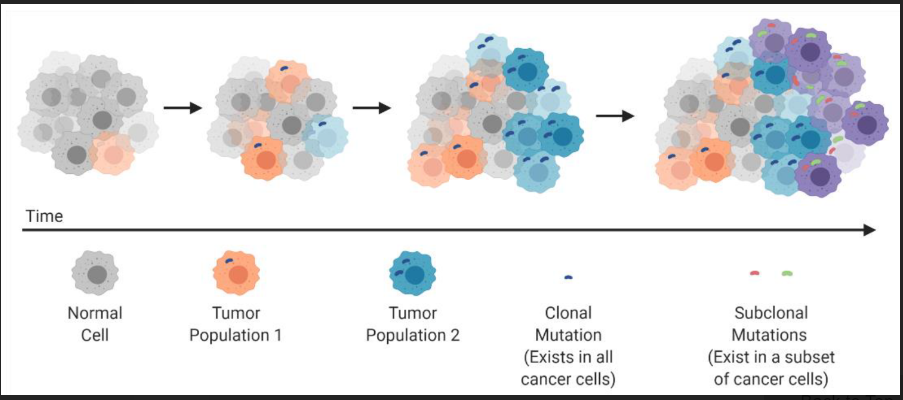 How every cancer cell has different genetic mutations but common glucose metabolism