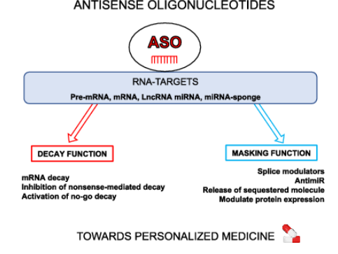 BreatCancer-treatment-Antisense-Oligonucleotides-ASOs
