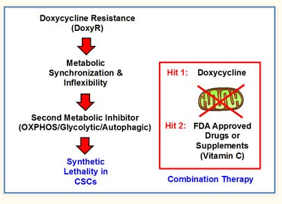 aohc Doxycycline targets 