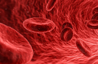 Hematological Malignancies H2