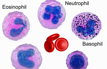 MYELOPROLIFERATIVE NEOPLASM