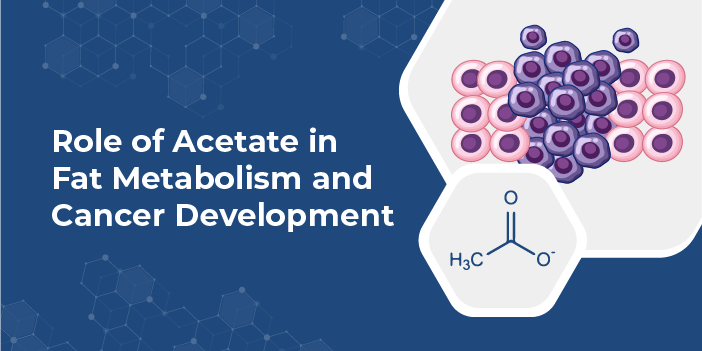 Role of Acetate in Fat Metabolism and Cancer Development
