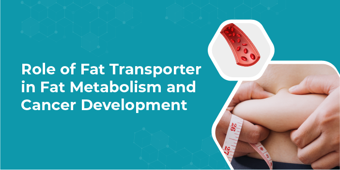 ROLE OF FAT TRANSPORTER IN FAT METABOLISM