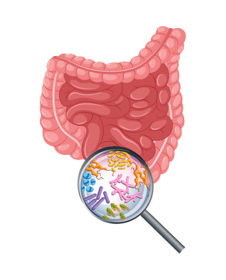 Stages of Peritoneum Cancer-01